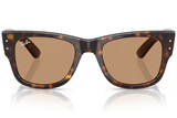 Ray-Ban Sunglasses RB0840S ( Pre_Booking )