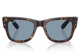 Ray-Ban Sunglasses RB0840S ( Pre_Booking )