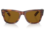 Ray-Ban Sunglasses RB0840S ( Pre_Booking )