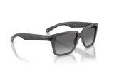 Vogue Sunglass VO5648SI