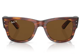 Ray-Ban Sunglasses RB0840S ( Pre_Booking )