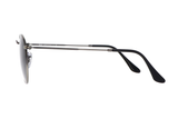 RAY-BAN Sunglasses RB3447