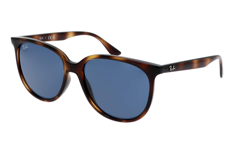 RAY-BAN Sunglasses RB4378