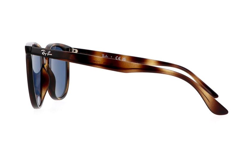 RAY-BAN Sunglasses RB4378