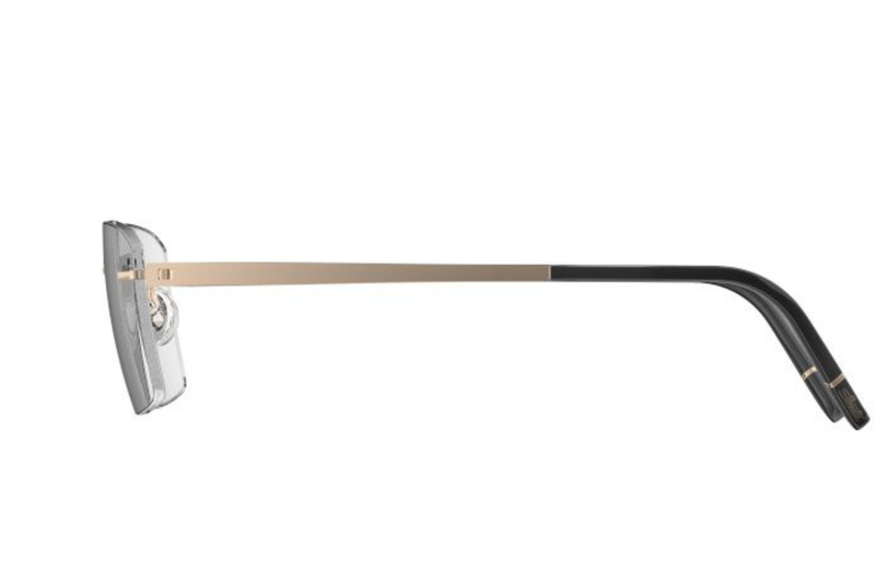 Silhouette Frame MOMENTUM AURUM L009