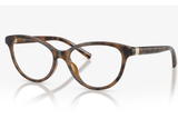 Armani Exchange Sunglasses AX3138U