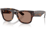 Ray-Ban Sunglasses RB0840S ( Pre_Booking )