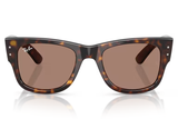 Ray-Ban Sunglasses RB0840S ( Pre_Booking )
