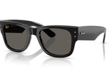 Ray-Ban Sunglasses RB0840S ( Pre_Booking )