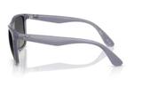 RAY-BAN Sunglasses RB4349I