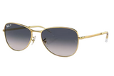 RAY-BAN Sunglasses  RB3733
