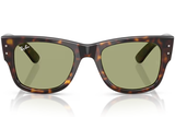 Ray-Ban Sunglasses RB0840S ( Pre_Booking )