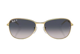 RAY-BAN Sunglasses  RB3733