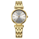 Titan Workmode Silver Dial Women’s Watch NU95321YM01