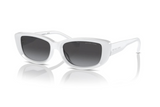 Michal Kors Sunglasses 2210