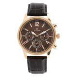 Titan Neo Brown Dial Leather Watch 1733KL03