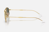 RAY-BAN Sunglasses RB3719