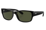 RAY-BAN Sunglasses RB4388