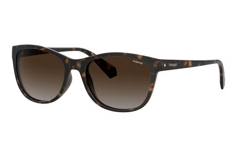 Polaroid Sunglasses PLD 4099/S