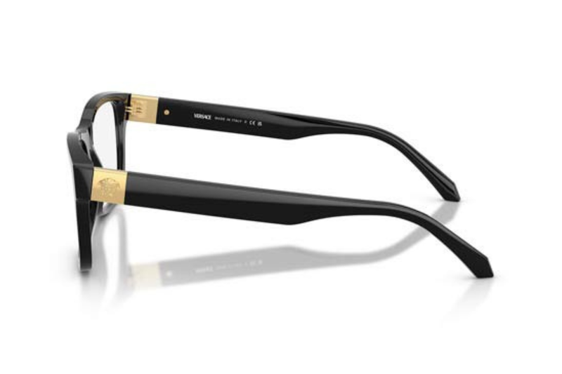 Versace Frame VE3380