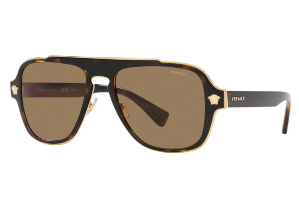 Versace Sunglasses VE2199 1252/LA