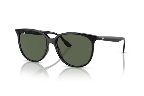 RAY-BAN Sunglasses RB4378
