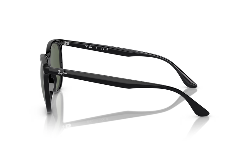 RAY-BAN Sunglasses RB4378