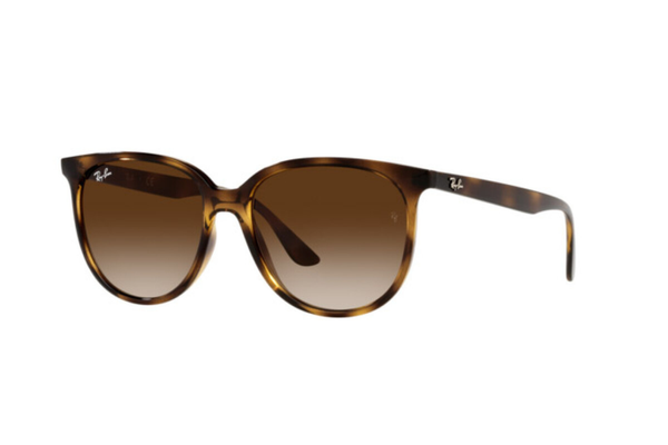 RAY-BAN Sunglasses RB4378