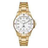 Fossil Blue Dive Watch for Women ES5350