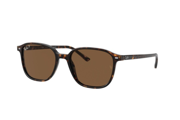 RAY-BAN Sunglasses RB2193