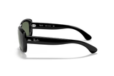 RAY-BAN Sunglasses RB4101