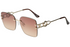 Scott Sunglasses  SC3169 Bertha