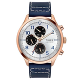 Timex Silver Dial Day-Date Men Watch TWEG23902
