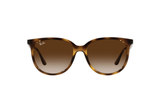RAY-BAN Sunglasses RB4378