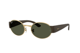 RAY-BAN Sunglasses RB3770