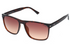Tommy Hilfiger Sunglasses TH1585