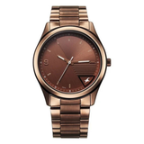 Fastrack Stunners Brown Dial Guys Watch 3317QM02