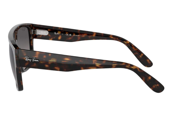 RAY-BAN Sunglasses RB0360S