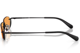Armani Exchange Sunglasses AX2058S