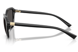 Armani Exchange Sunglasses AX4173SU