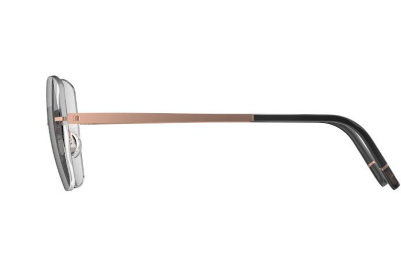 Silhouette Frame MOMENTUM AURUM L009