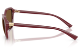 Armani Exchange Sunglasses AX4173SU