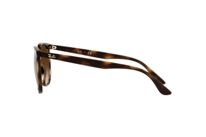 RAY-BAN Sunglasses RB4378