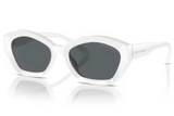 Michal Kors Sunglasses 2209