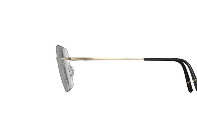 Silhouette Frame  TITAN MINIMAL ART D’OR L022