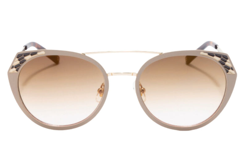 David Jones Sunglasses 1160