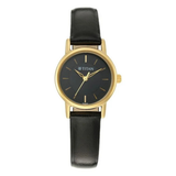 Titan Black Dial Women’s Watch 2593YL03
