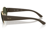 RAY-BAN Sunglasses RB3770