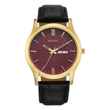 Titan Karishma Regal Men’s Watch 10059YL03