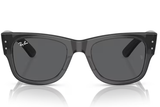 Ray-Ban Sunglasses RB0840S ( Pre_Booking )